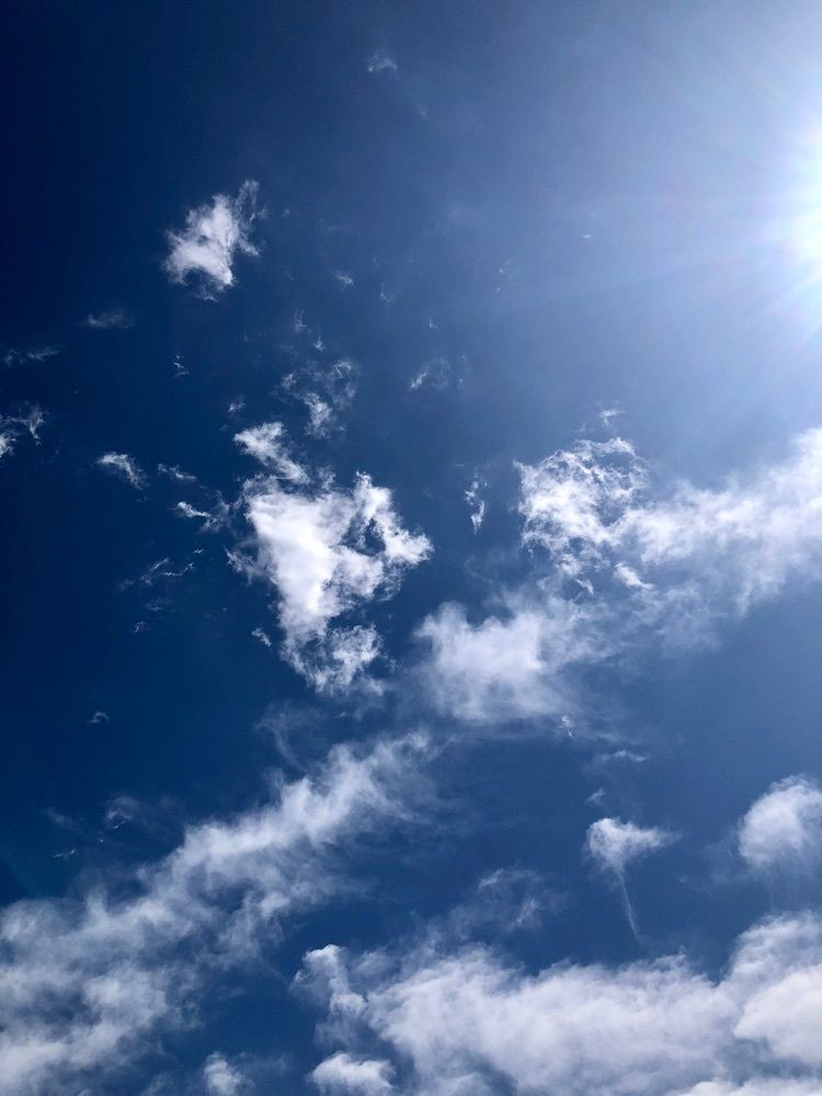 からっ風②さんが投稿したタカノに関する口コミの画像