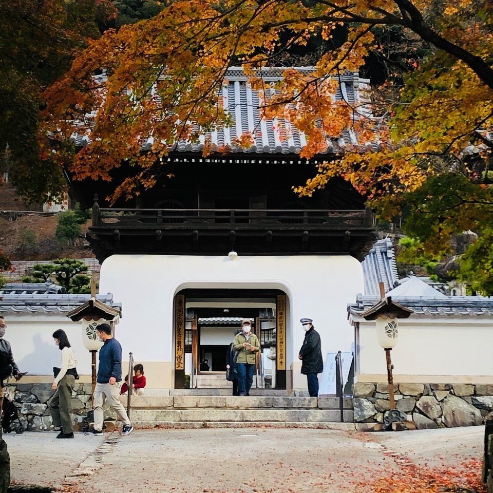 kayoさんが投稿した興聖寺に関する口コミの画像
