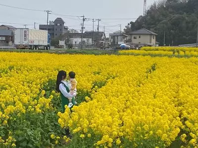 綾部山梅林