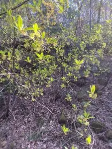 大狩山砂防ダム公園・ウォータースライダー