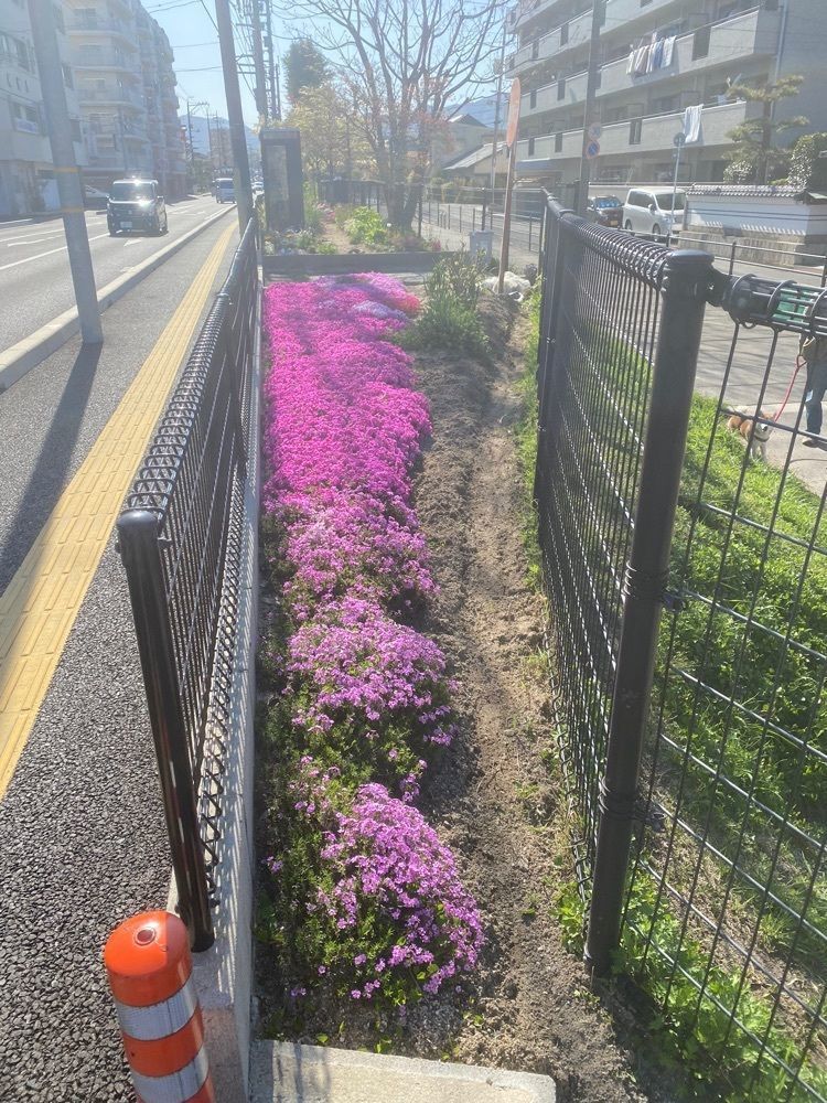 あるふぃすたさんが投稿した塩屋天然温泉ほの湯楽々園に関する口コミの画像
