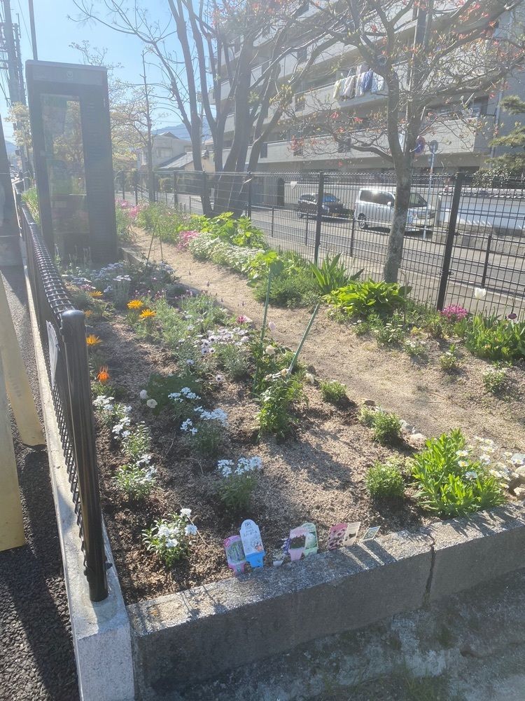 あるふぃすたさんが投稿した塩屋天然温泉ほの湯楽々園に関する口コミの画像