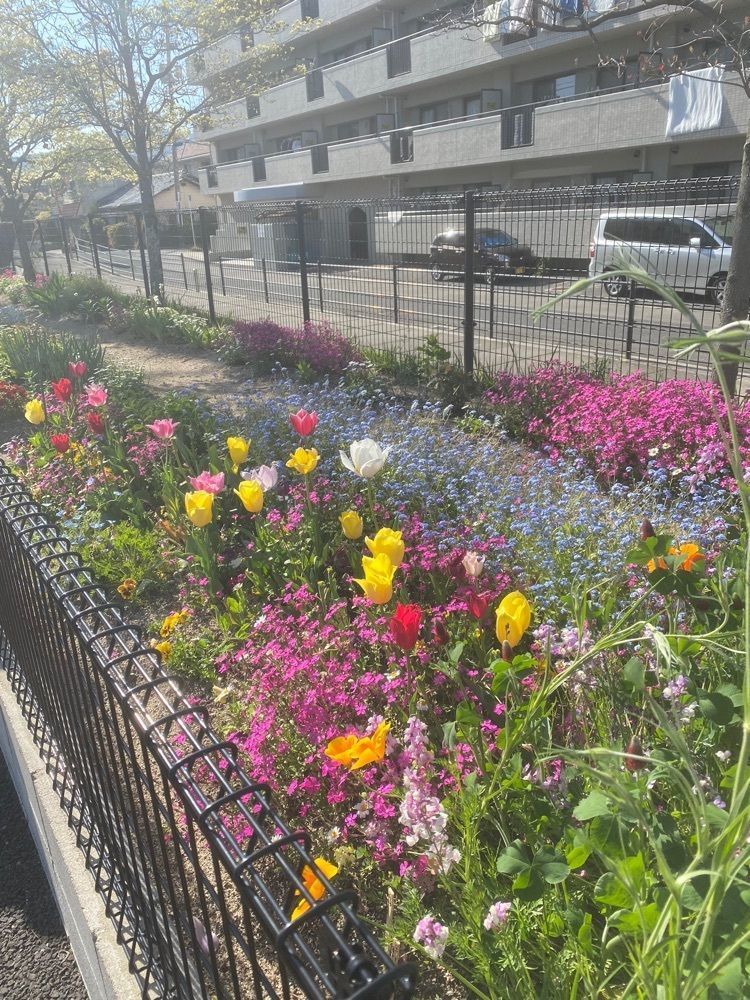 あるふぃすたさんが投稿した塩屋天然温泉ほの湯楽々園に関する口コミの画像
