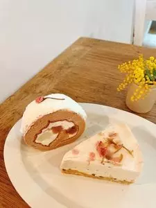 No.25（ナンバーニーゴー）