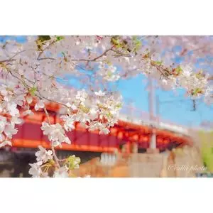 山中渓
