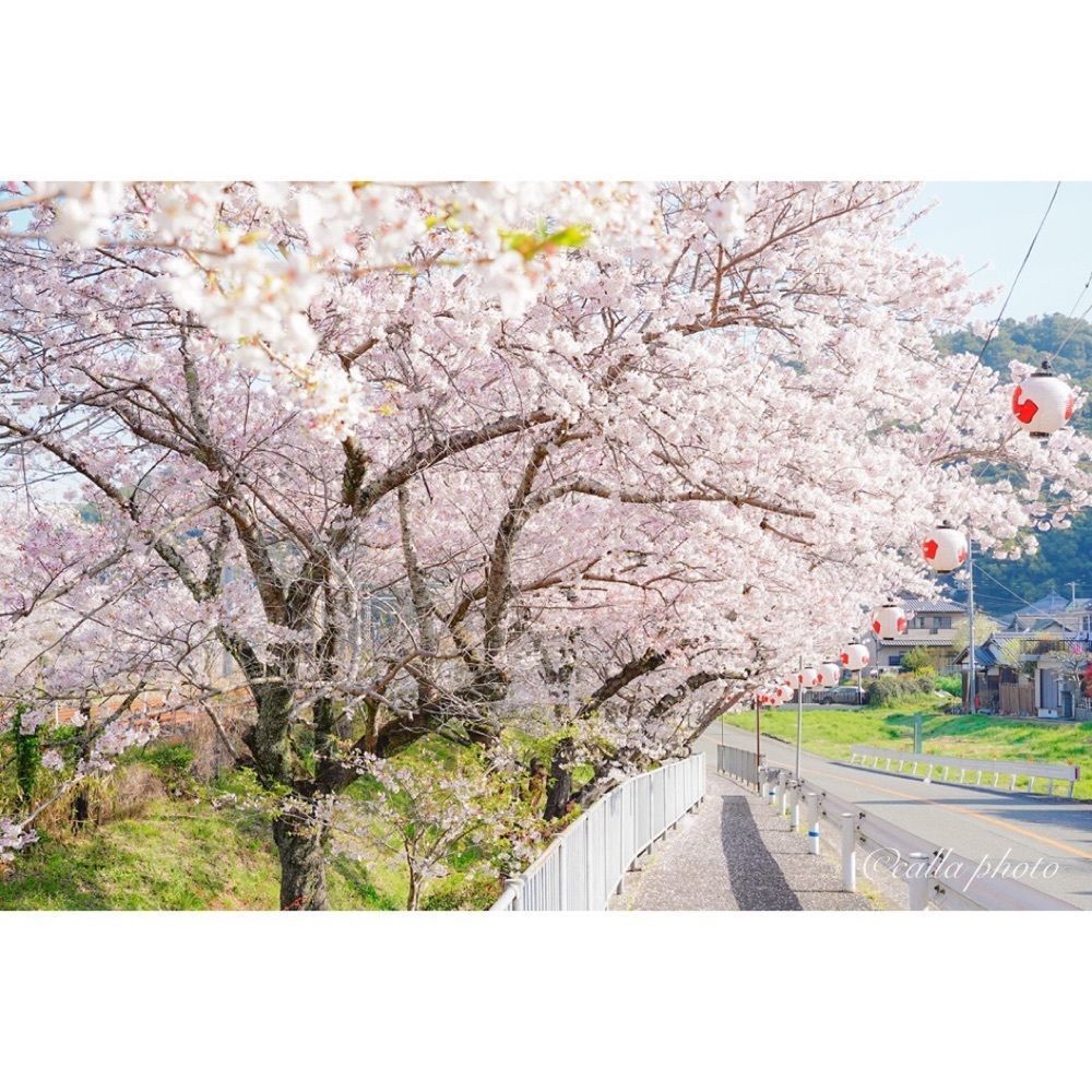 urban_garden_243aさんが投稿した山中渓に関する口コミの画像
