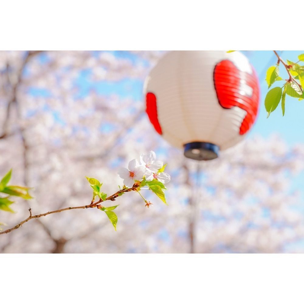 urban_garden_243aさんが投稿した山中渓に関する口コミの画像