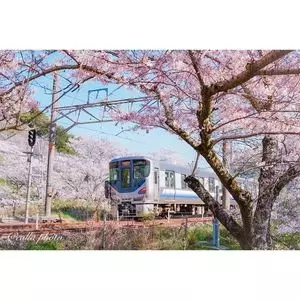 山中渓 3枚目