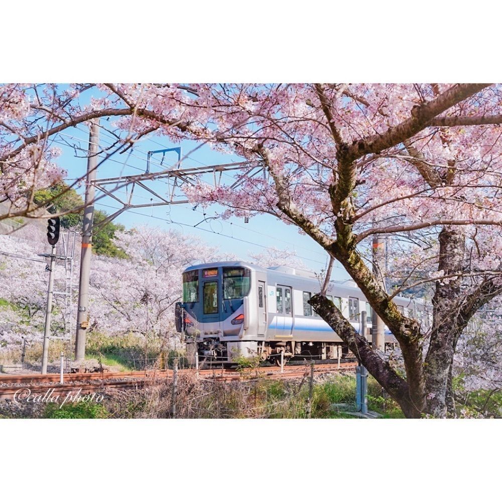 urban_garden_243aさんが投稿した山中渓に関する口コミの画像