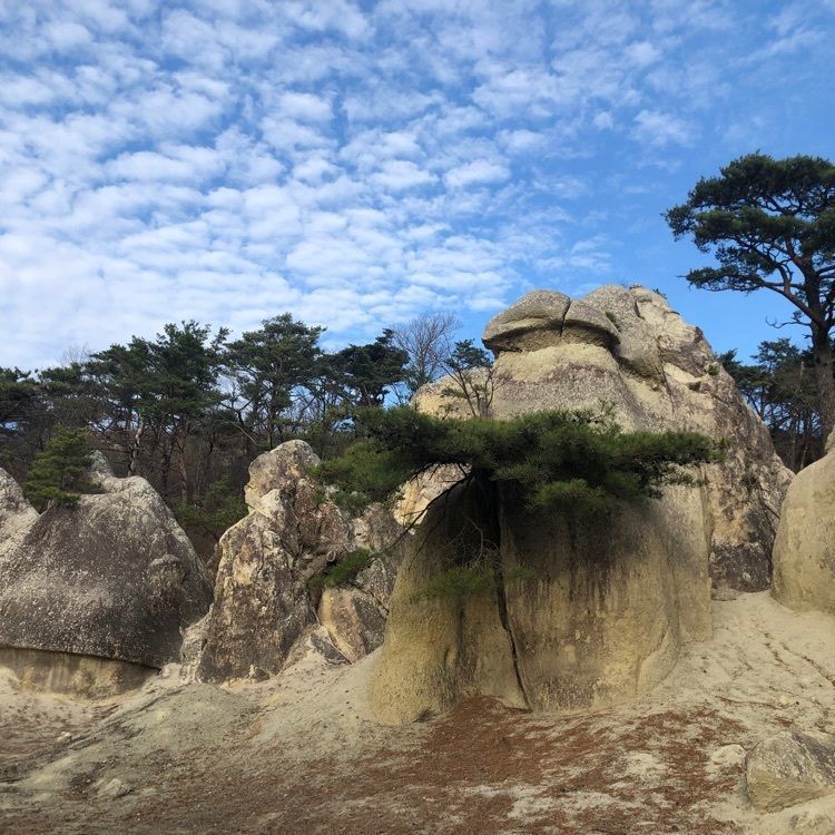 choco mintさんが投稿した浄土松公園に関する口コミの画像