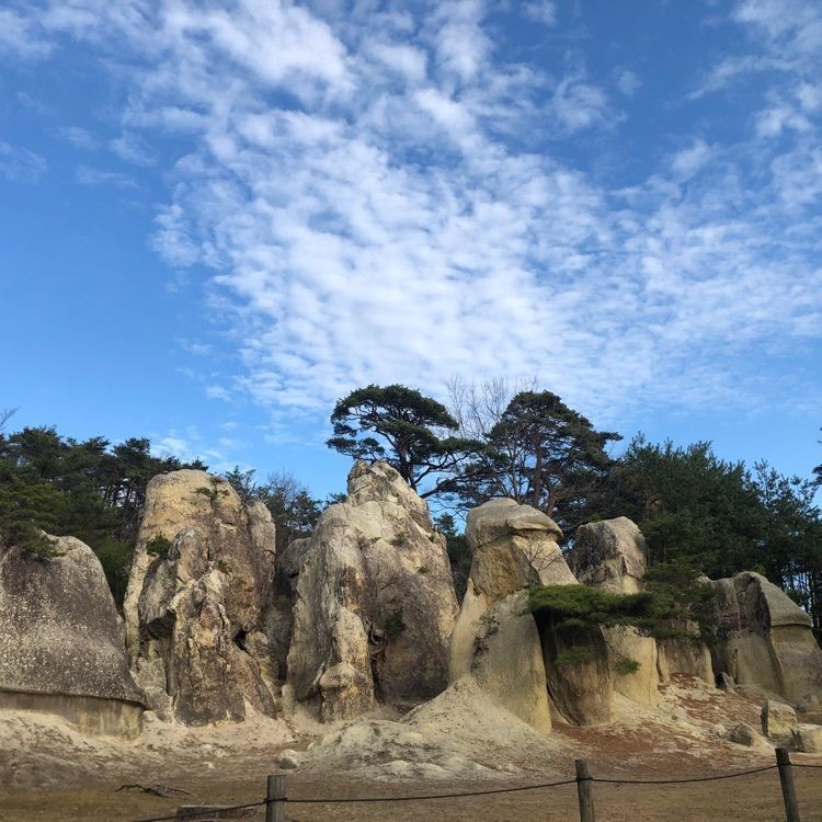 choco mintさんが投稿した浄土松公園に関する口コミの画像