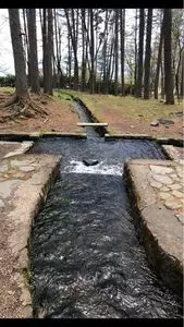三分一湧水