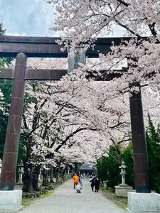 冨士御室浅間神社