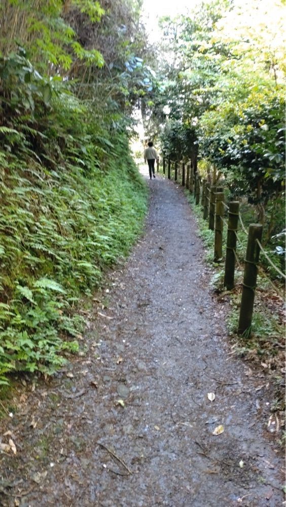 yoko☆さんが投稿した日守山公園に関する口コミの画像