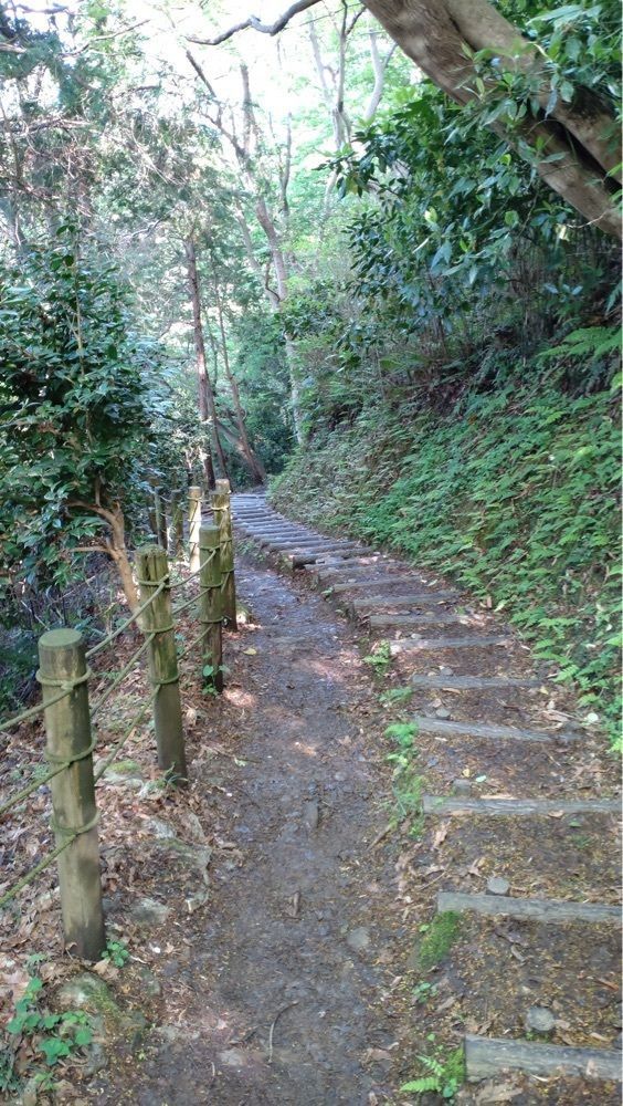 yoko☆さんが投稿した日守山公園に関する口コミの画像