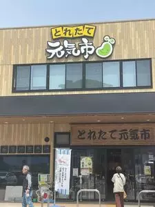 とれたて元気市