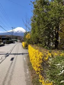 忍野タクシー