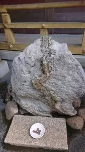 九頭竜大社