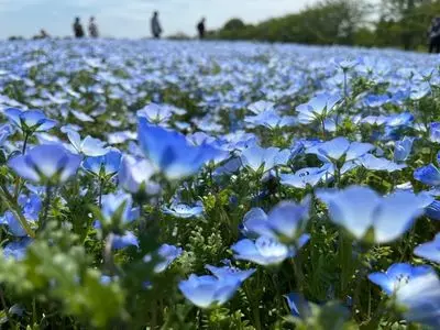 富田さとにわ耕園（トミタサトニワコウエン）