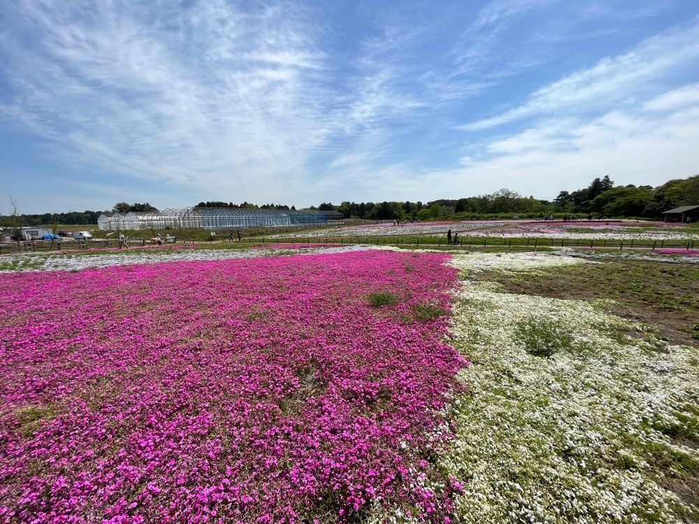ハルさんが投稿した富田さとにわ耕園（トミタサトニワコウエン）に関する口コミの画像