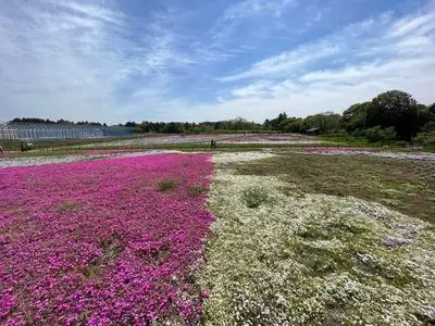 富田さとにわ耕園（トミタサトニワコウエン） 3枚目