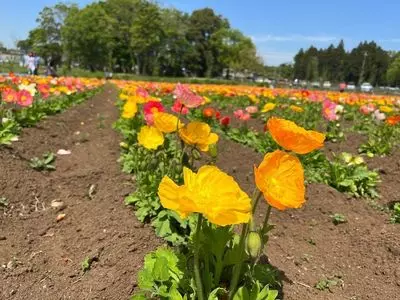 富田さとにわ耕園（トミタサトニワコウエン） 2枚目