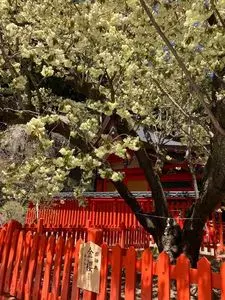 金桜神社