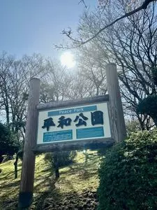 平和公園の桜