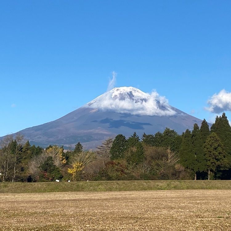 RIMさんが投稿したつぼぐち本店に関する口コミの画像