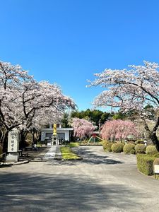 平和公園 3枚目