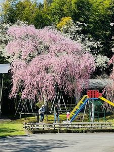 平和公園 4枚目