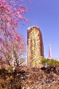 平和公園 6枚目