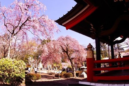 平和公園 7枚目