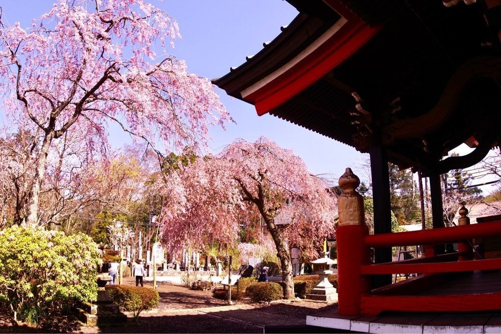 ビンカさんが投稿した平和公園に関する口コミの画像