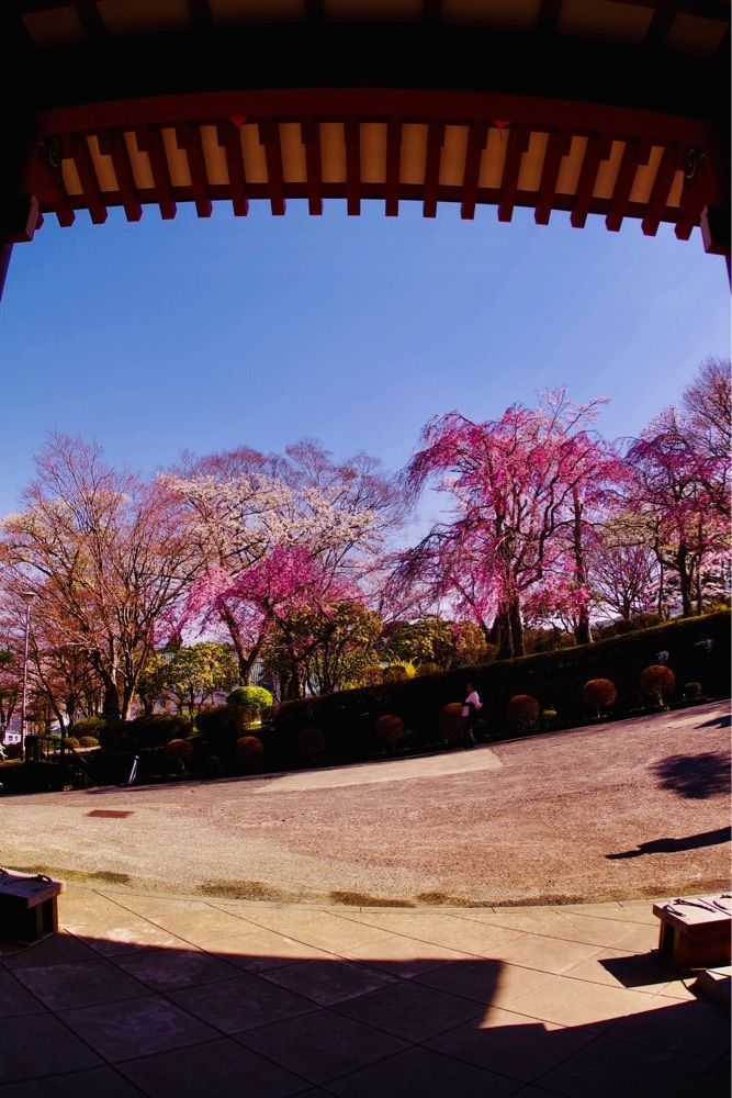 ビンカさんが投稿した平和公園に関する口コミの画像
