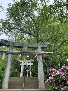 今宿野外活動センターキャンプ場