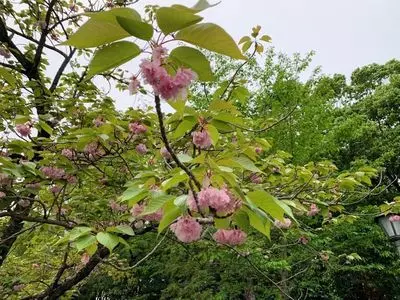 大分縣護国神社