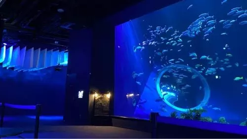 DMMかりゆし水族館