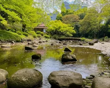屏風岩（小石川後楽園）