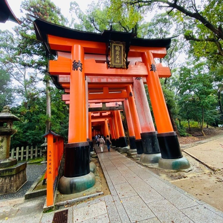 Yukaの画像