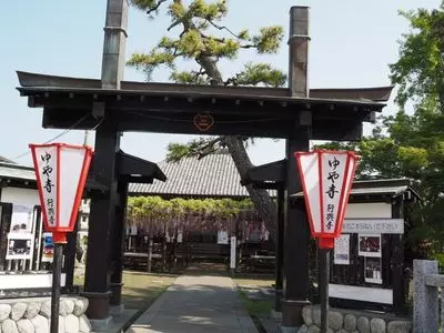 熊野の長フジ（行興寺）