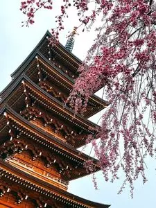 やま竹（竹蔵蕎麦　やま竹（たけぞうそば　やまたけ））