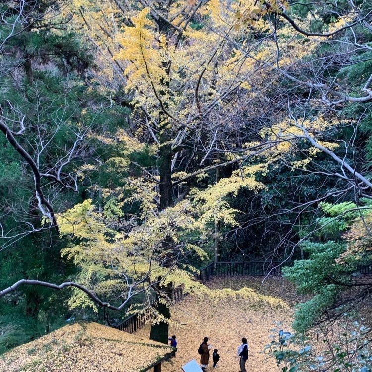 nostalgic_tourism_411aさんが投稿した聖宝寺に関する口コミの画像