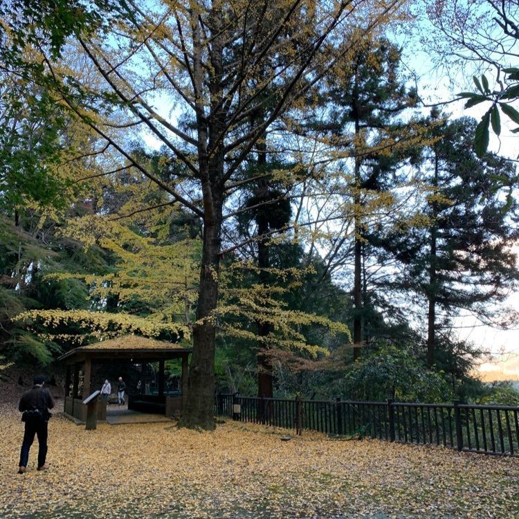 nostalgic_tourism_411aさんが投稿した聖宝寺に関する口コミの画像