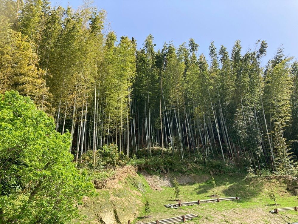 Howl Monさんが投稿した緑の谷のごちそうテラス　CoCoChi　ここちに関する口コミの画像