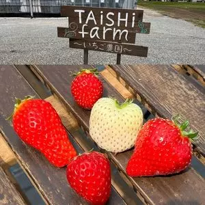 Taishi farm（タイシ ファーム）