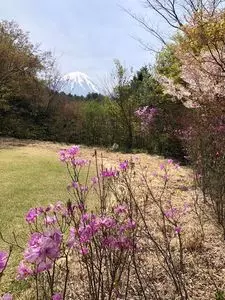 道の駅 なるさわ