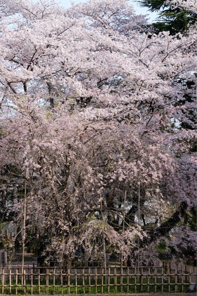 海宗さんが投稿した弘法寺に関する口コミの画像