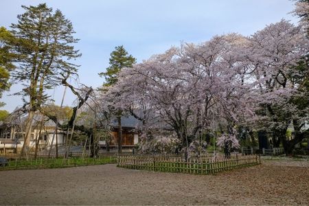 施設画像