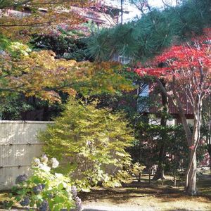 大山緑地 2枚目